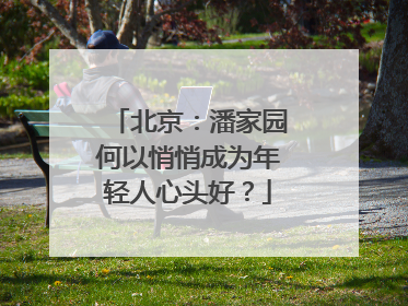 北京：潘家园何以悄悄成为年轻人心头好？