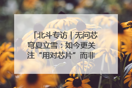 北斗专访｜无问芯穹夏立雪：如今更关注“用对芯片”而非“用贵芯片”
