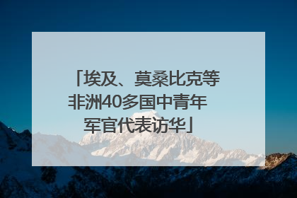埃及、莫桑比克等非洲40多国中青年军官代表访华