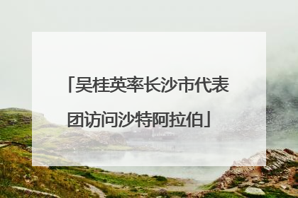 吴桂英率长沙市代表团访问沙特阿拉伯