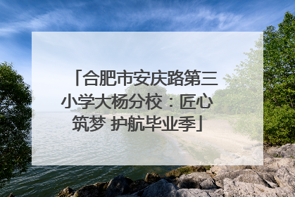 合肥市安庆路第三小学大杨分校：匠心筑梦 护航毕业季