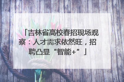 吉林省高校春招现场观察：人才需求依然旺，招聘凸显“智能+”
