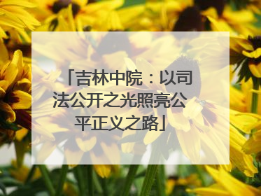 吉林中院：以司法公开之光照亮公平正义之路
