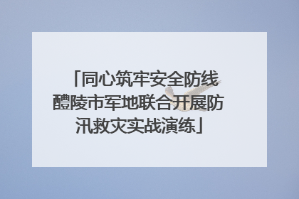同心筑牢安全防线 醴陵市军地联合开展防汛救灾实战演练