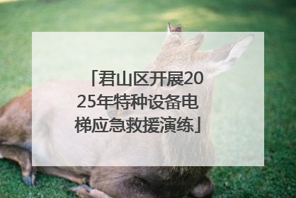 君山区开展2025年特种设备电梯应急救援演练
