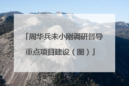 周华兵未小刚调研督导重点项目建设（图）