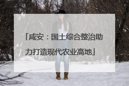 咸安：国土综合整治助力打造现代农业高地