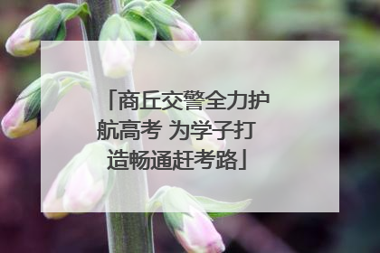 商丘交警全力护航高考 为学子打造畅通赶考路