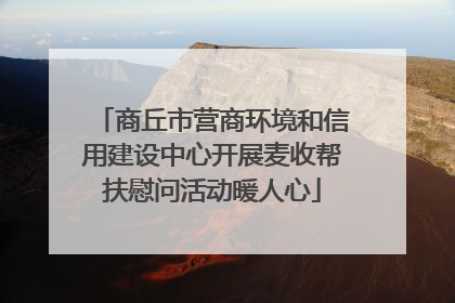 商丘市营商环境和信用建设中心开展麦收帮扶慰问活动暖人心