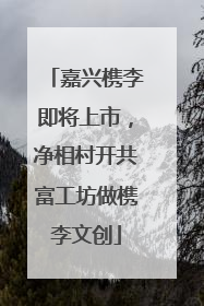嘉兴槜李即将上市，净相村开共富工坊做槜李文创