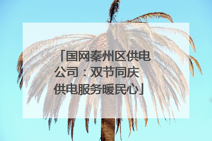 国网秦州区供电公司：双节同庆 供电服务暖民心