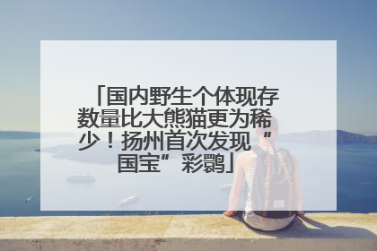 国内野生个体现存数量比大熊猫更为稀少！扬州首次发现“国宝”彩鹮