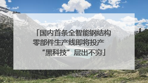 国内首条全智能钢结构零部件生产线即将投产 “黑科技”层出不穷