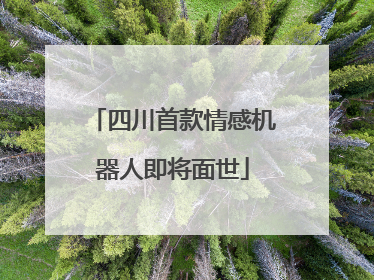 四川首款情感机器人即将面世