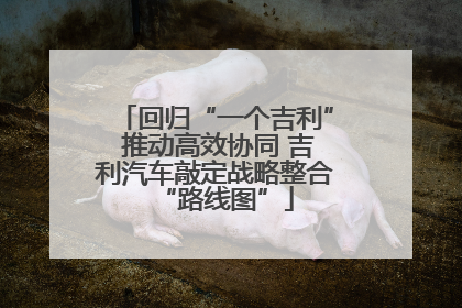 回归“一个吉利” 推动高效协同 吉利汽车敲定战略整合“路线图”