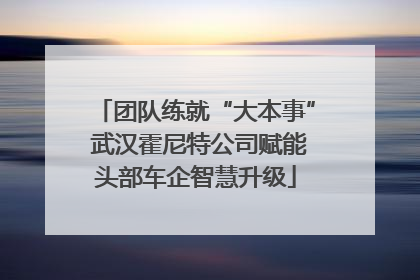 团队练就“大本事” 武汉霍尼特公司赋能头部车企智慧升级