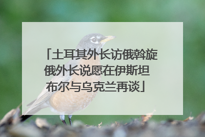 土耳其外长访俄斡旋 俄外长说愿在伊斯坦布尔与乌克兰再谈