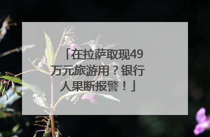 在拉萨取现49万元旅游用？银行人果断报警！