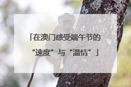 在澳门感受端午节的“速度”与“温情”