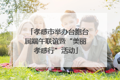 孝感市举办台胞台属端午联谊暨“美丽孝感行”活动
