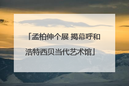 孟柏伸个展 揭幕呼和浩特西贝当代艺术馆