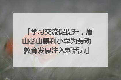 学习交流促提升，眉山彭山鹏利小学为劳动教育发展注入新活力