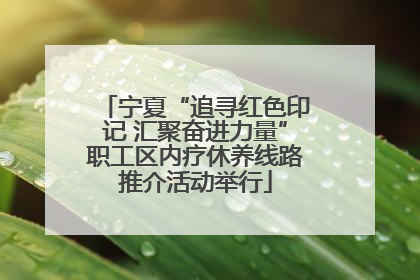 宁夏“追寻红色印记 汇聚奋进力量”职工区内疗休养线路推介活动举行