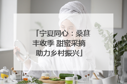 宁夏同心：桑葚丰收季 甜蜜采摘助力乡村振兴