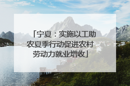 宁夏：实施以工助农夏季行动促进农村劳动力就业增收