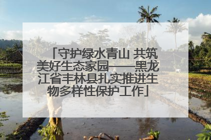 守护绿水青山 共筑美好生态家园——黑龙江省丰林县扎实推进生物多样性保护工作