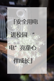 安全用电进校园 “电”亮童心伴成长