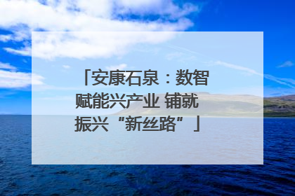 安康石泉：数智赋能兴产业 铺就振兴“新丝路”