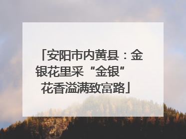 安阳市内黄县：金银花里采“金银” 花香溢满致富路