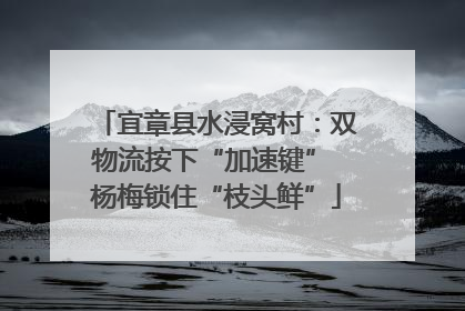 宜章县水浸窝村：双物流按下“加速键” 杨梅锁住“枝头鲜”
