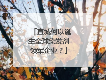 宜城何以诞生全球染发剂领军企业？