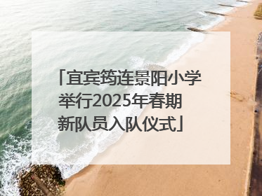 宜宾筠连景阳小学举行2025年春期新队员入队仪式