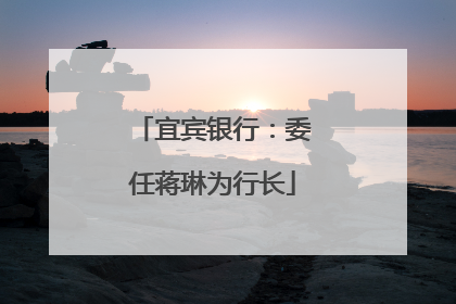 宜宾银行：委任蒋琳为行长