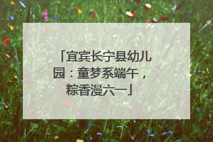 宜宾长宁县幼儿园：童梦系端午，粽香漫六一
