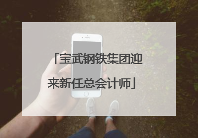 宝武钢铁集团迎来新任总会计师