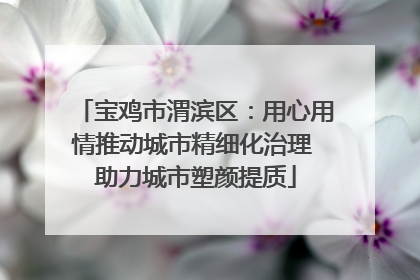 宝鸡市渭滨区：用心用情推动城市精细化治理 助力城市塑颜提质