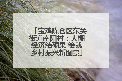 宝鸡陈仓区东关街道南阳村：大棚经济结硕果 绘就乡村振兴新图景