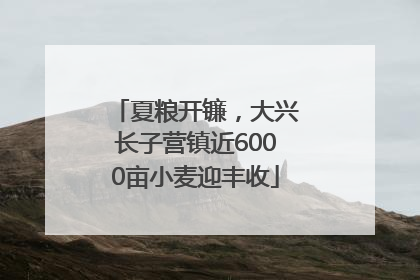 夏粮开镰，大兴长子营镇近6000亩小麦迎丰收