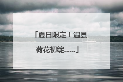 夏日限定！温县荷花初绽……