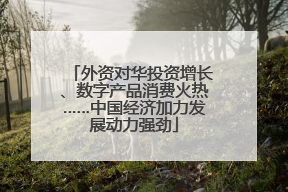外资对华投资增长、数字产品消费火热……中国经济加力发展动力强劲