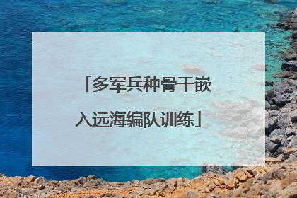 多军兵种骨干嵌入远海编队训练