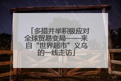 多措并举积极应对全球贸易变局——来自“世界超市”义乌的一线走访
