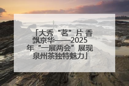 大秀“茗”片 香飘京华——2025年“一展两会”展现泉州茶独特魅力