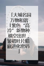 大城名园 万物和谐│紫色“高冷”新物种横空出世，皱褶叶片暗藏进化密码