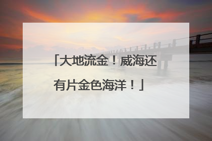 大地流金！威海还有片金色海洋！