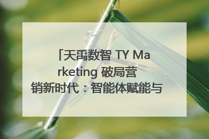 天禹数智 TY Marketing 破局营销新时代：智能体赋能与人才培育双轮驱动